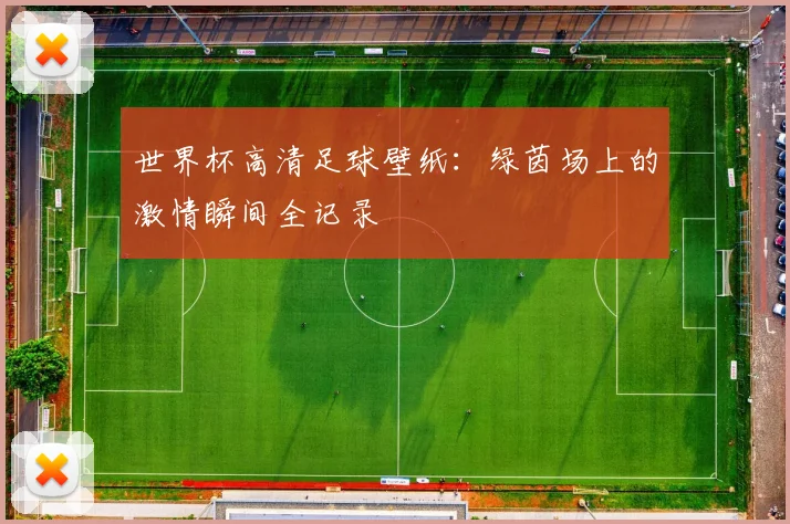 世界杯高清足球壁纸：绿茵场上的激情瞬间全记录