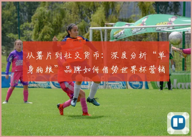 从薯片到社交货币：深度分析“单身狗粮”品牌如何借势世界杯营销